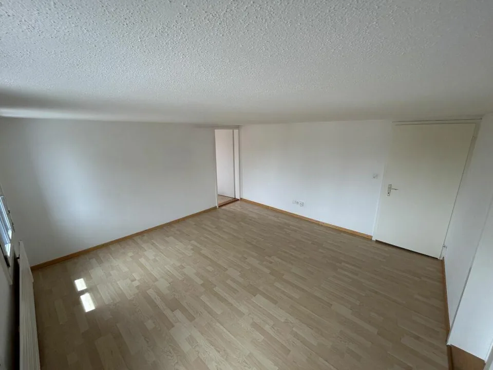 Wohnen mit grosser Sonnenterrasse