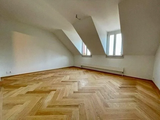 Einzigarte Dachwohnung am Schwanenplatz