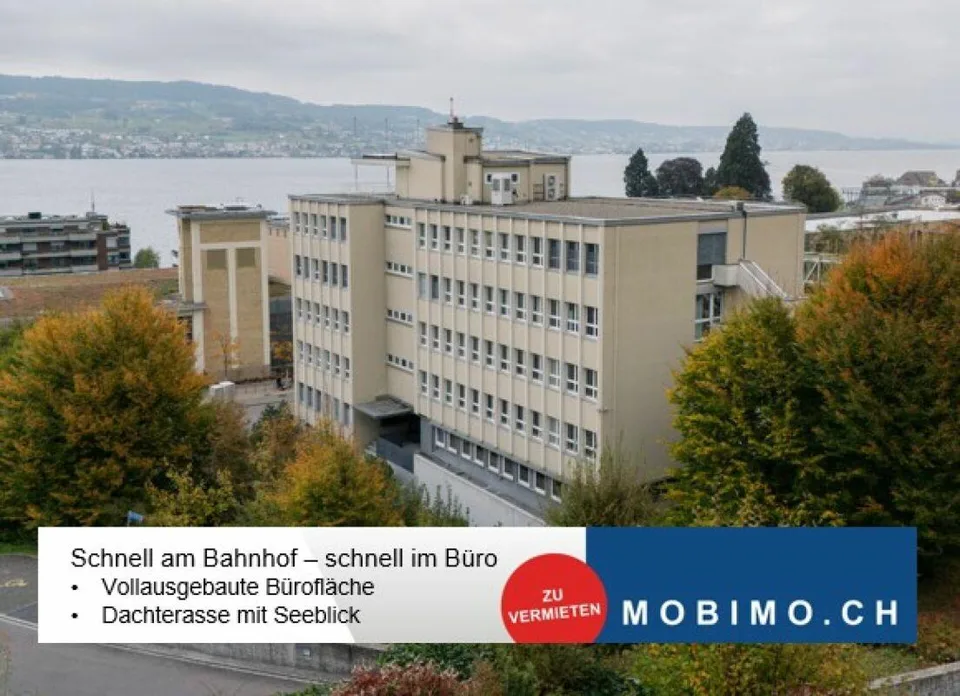 Horgen: Ausgebautes Büro Plug and Play