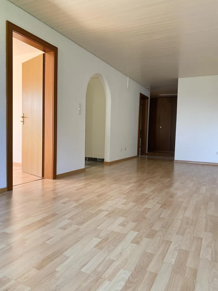 Grosse Wohnung mit schönem Balkon
