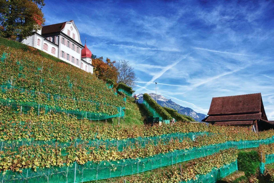 Villa Turmmattli Terassen Wohnung (möbeliert oder nicht)