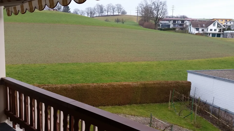 Geräumige 4 1/2-Zimmerwohnung im Grünen