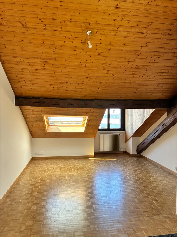 Appartement mansardé et rénové avec 3 chambres – Rue de Tronchin 26
