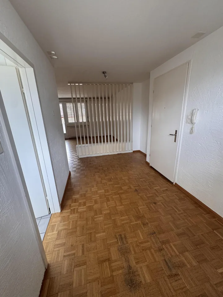 Grosse 3,5- Zimmer Dachwohnung