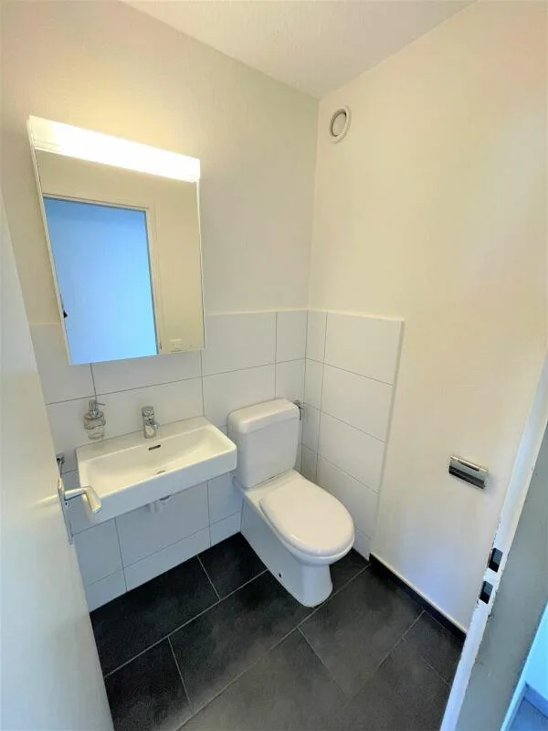 Renovierte 3.5 Zimmer Wohnung, mit moderner Küche und Badezimmer. A...