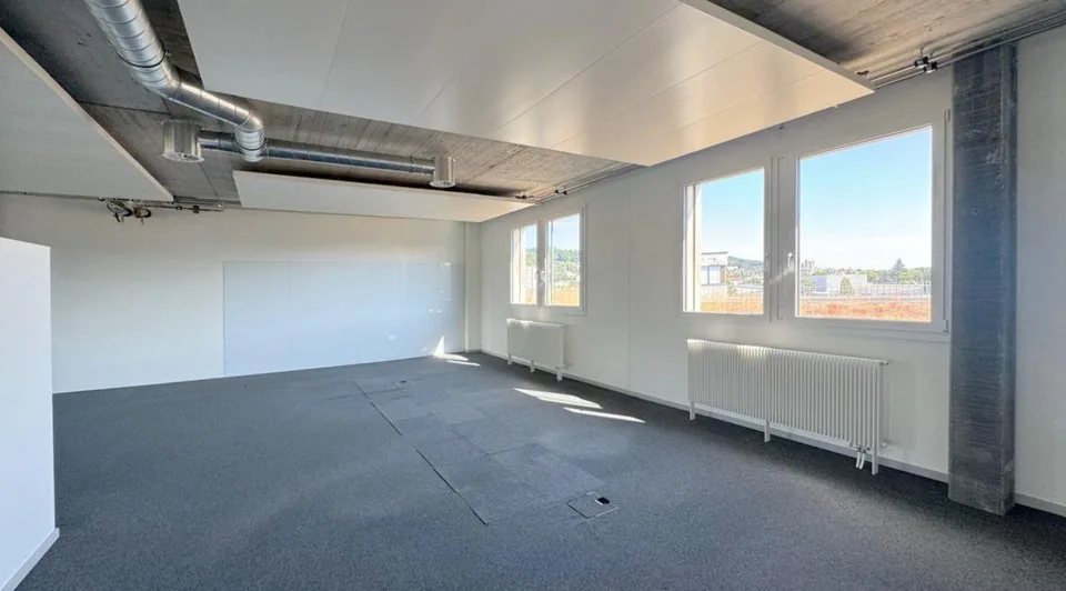 Moderne und helle Gewerbefläche im Triamal