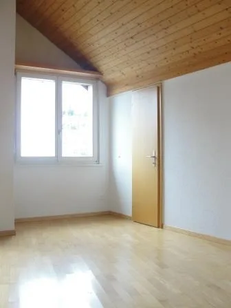 Charmante 2.5-Zimmer-Altbau-Dachwohnung an zentraler Lage in Beinwil a