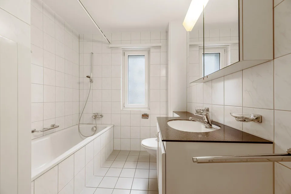 3.0 Zimmerwohnung in Luzern