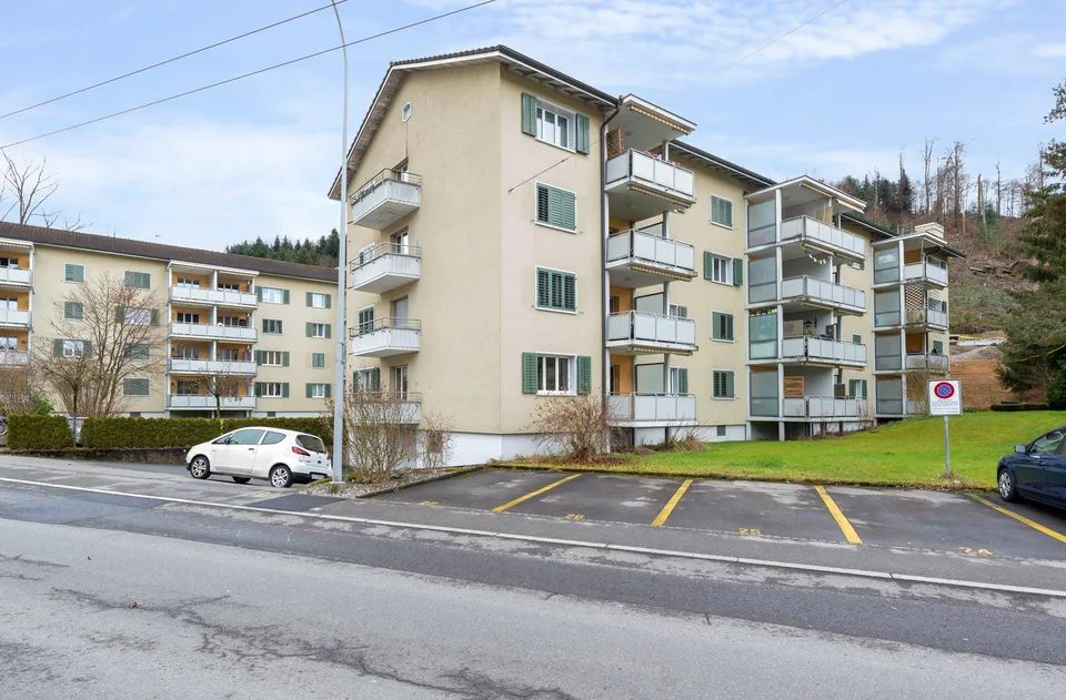 3.0 Zimmerwohnung in Luzern