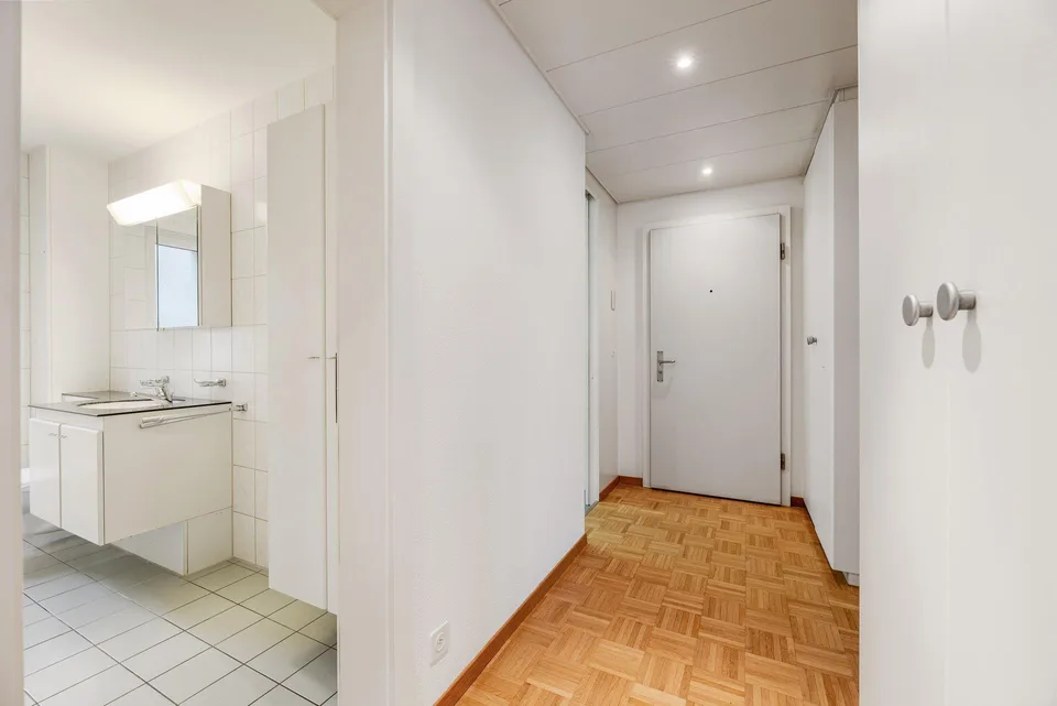 3.0 Zimmerwohnung in Luzern
