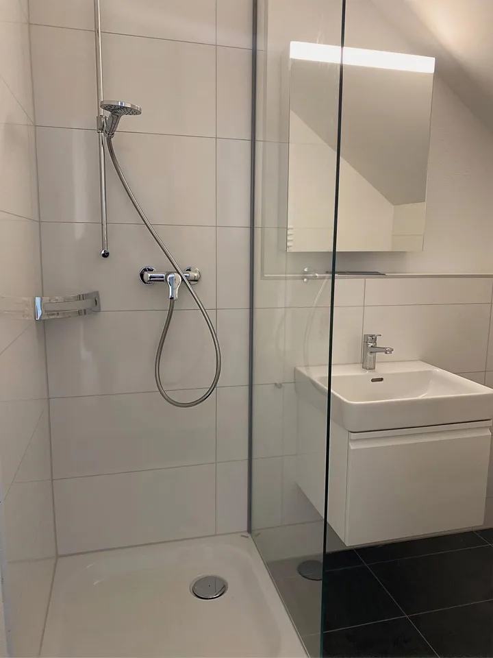 Grosse 1.5 Zimmer Wohnung im Dachgeschoss