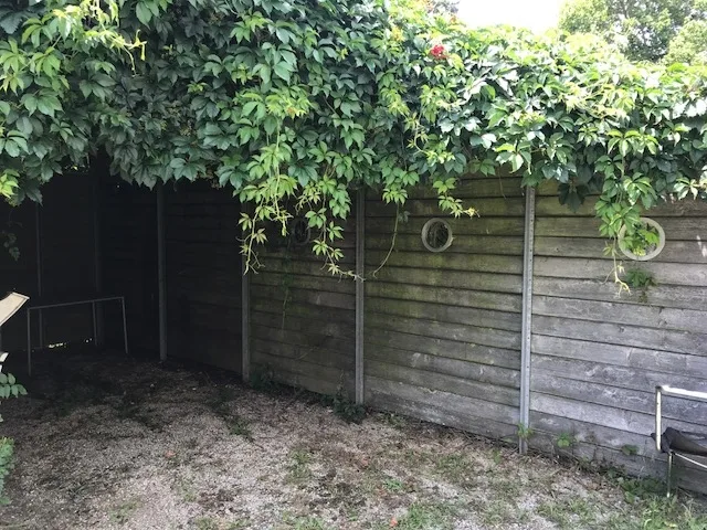 Helle 1 Zimmerwohnung