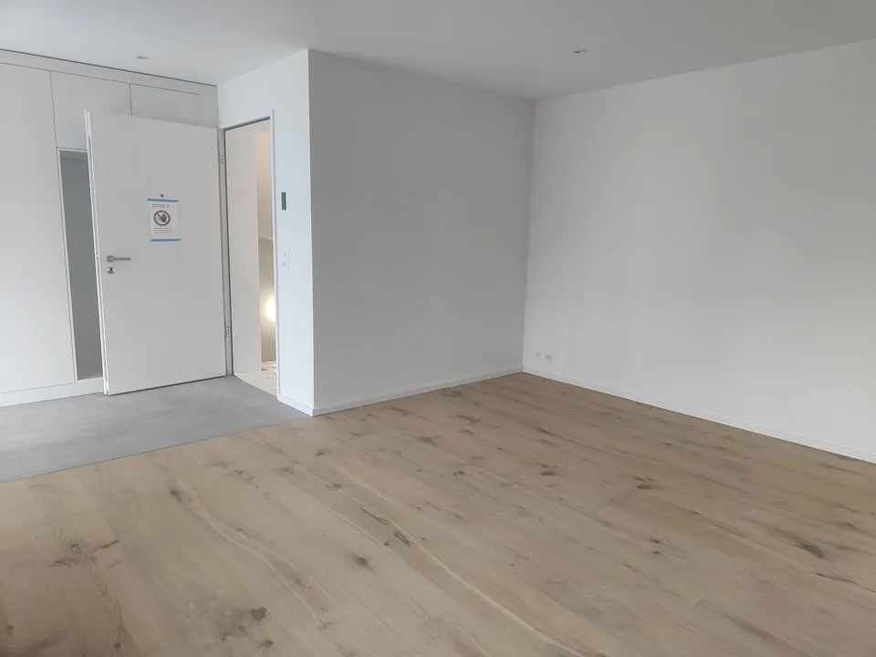 Moderne 3.5-Zimmer-Wohnung mit grosser Terrasse in Diegten