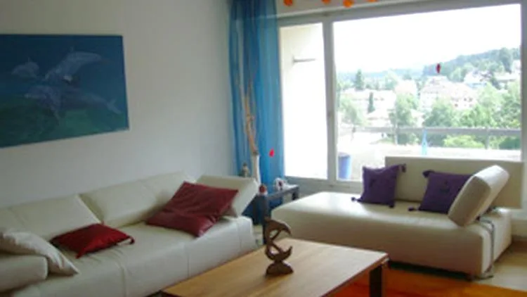 2½ ZI-WOHNUNG IN LUZERN, MÖBLIERT, TEMPORÄR