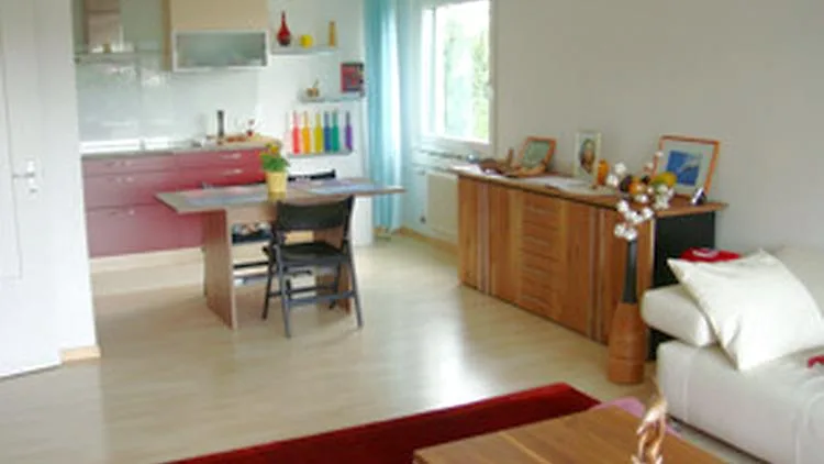 2½ ZI-WOHNUNG IN LUZERN, MÖBLIERT, TEMPORÄR