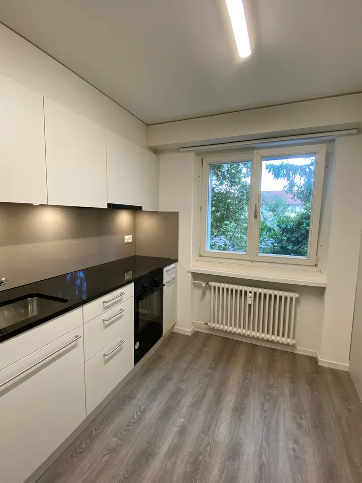 Neu renovierte 3-Zimmer-Wohnung in ruhigem Quartier