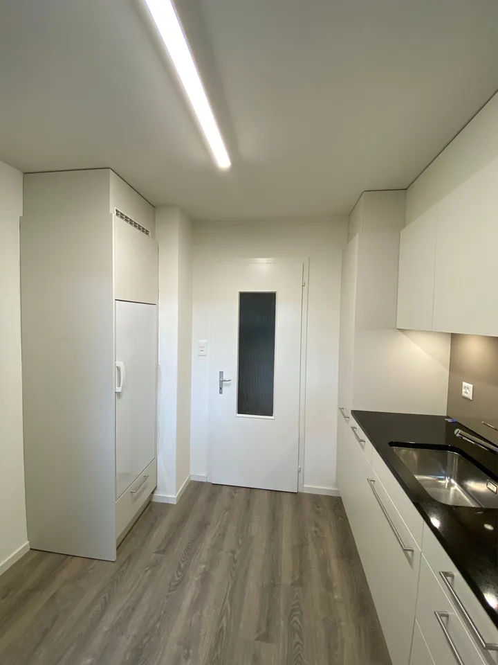 Neu renovierte 3-Zimmer-Wohnung in ruhigem Quartier
