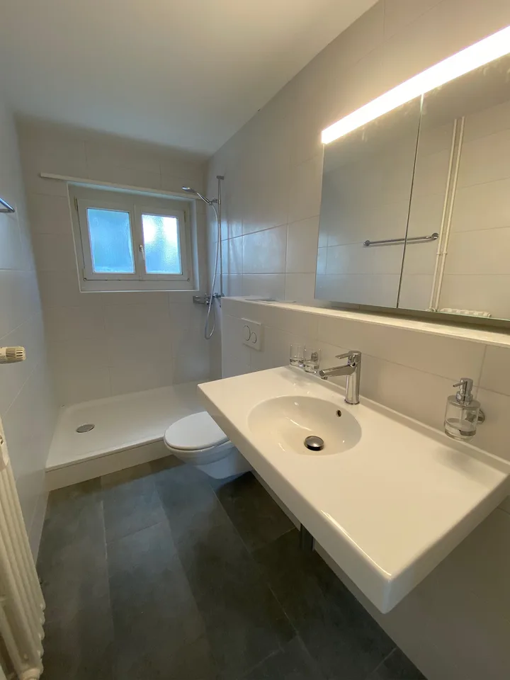 Neu renovierte 3-Zimmer-Wohnung in ruhigem Quartier