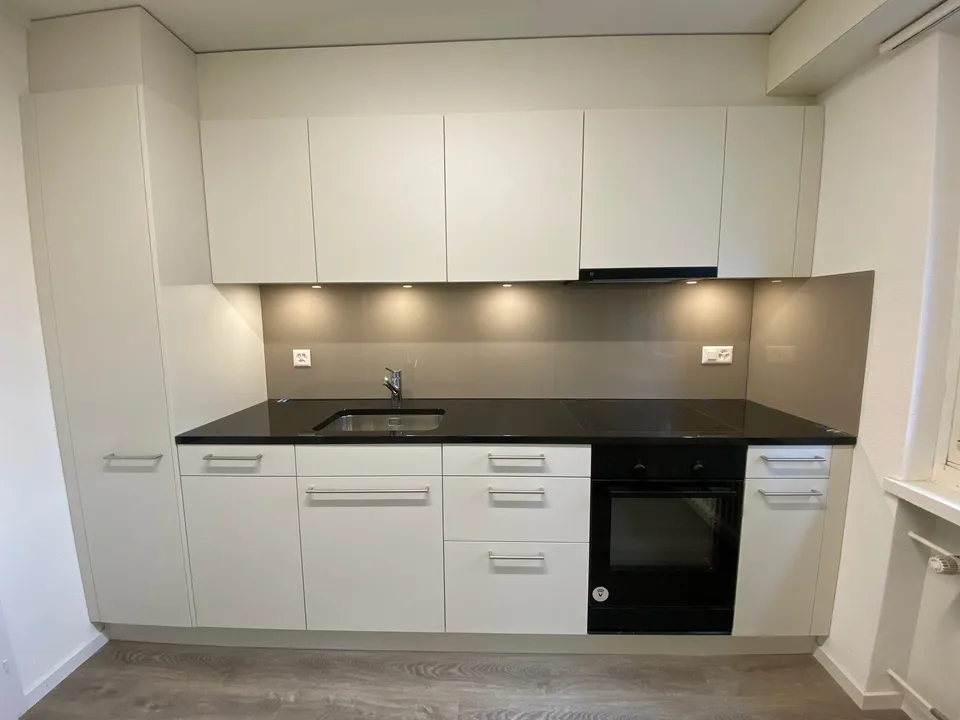 Neu renovierte 3-Zimmer-Wohnung in ruhigem Quartier