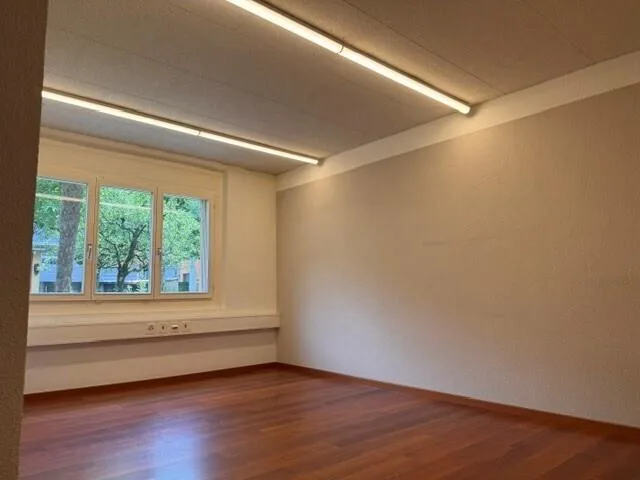 Büro-/Praxis-/Dienstleistungsflächen im Altdorf zu vermieten – Foto 7 von 11