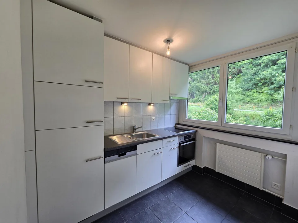 Charmante Wohnung an ruhiger Lage in Bargen (SH)