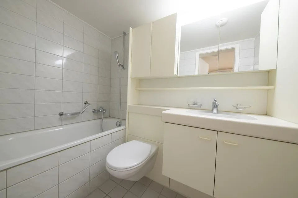 Wohnen direkt am Birsköpfli!