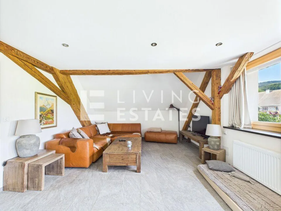 ALPINE CHIC. TOPMODERN. VIEL PLATZ.