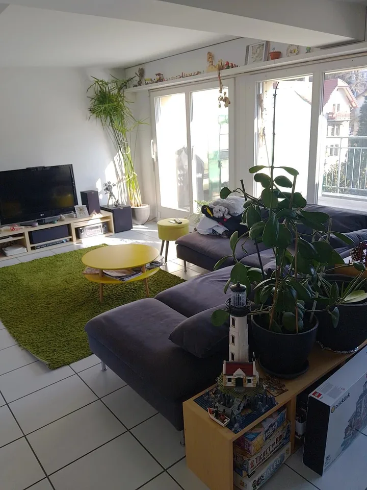 Attraktive Dachwohnung mit grosser Terrasse im Maihofquartier