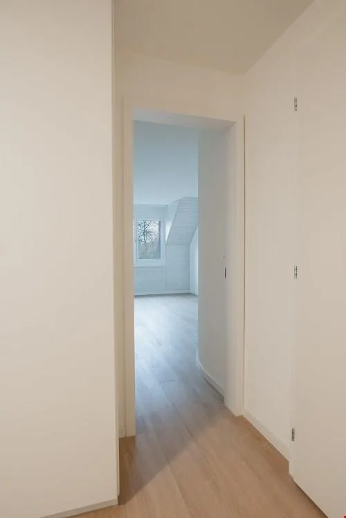 Sanierte schöne, helle Dachwohnung