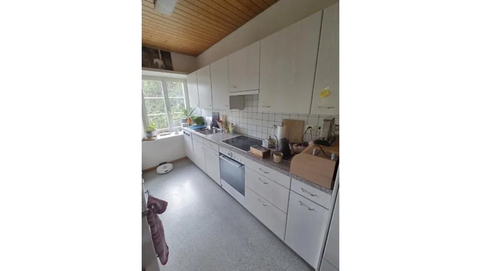 FÜR EINE EINZELPERSON IN WÄDENSWIL (ZH), MÖBLIERT, TEMPORÄR