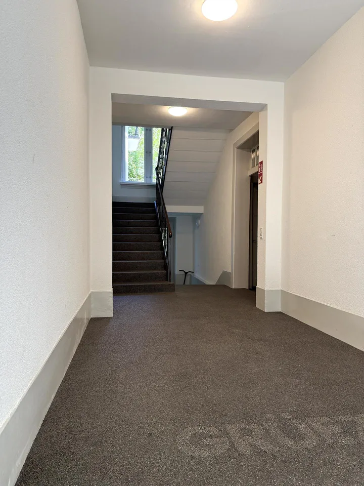 Loft-Feeling mitten in Zürich, aussergewöhnlicher Erstbezug im Kreis 4