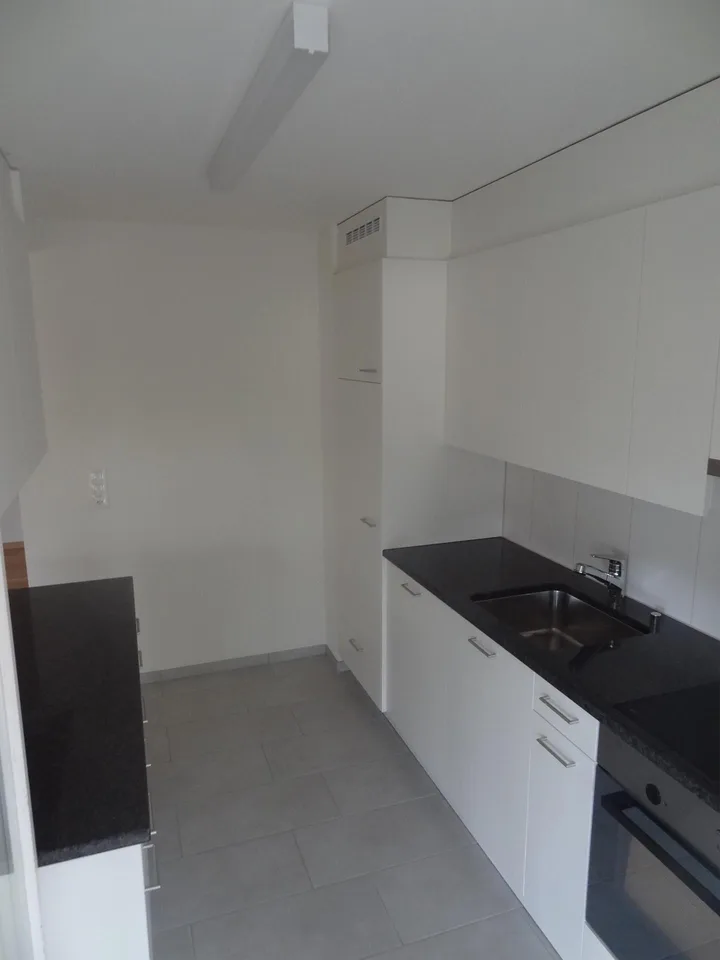 3.0 Zimmerwohnung in ruhiger Ueberbauung im Grünen