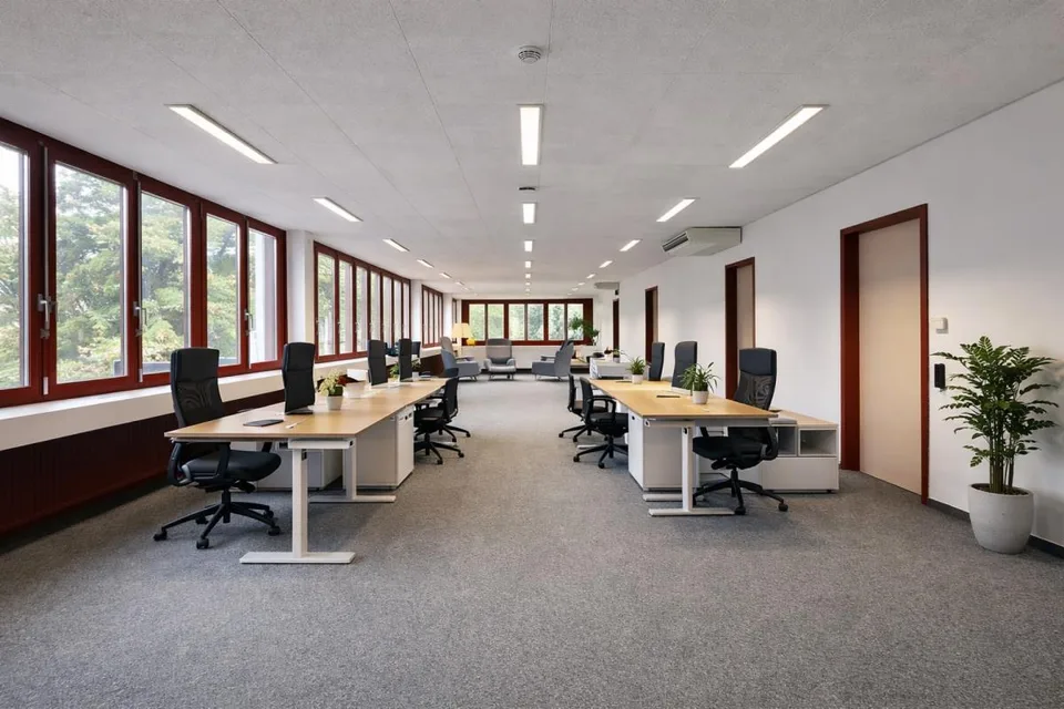 Bureaux lumineux, plug and play avec rampe d'accès !