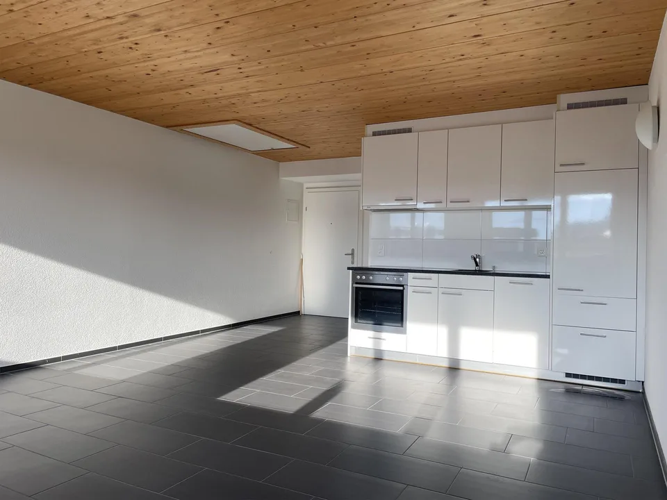 Charmante 1-Zimmer-Attikawohnung mit Dachterrasse
