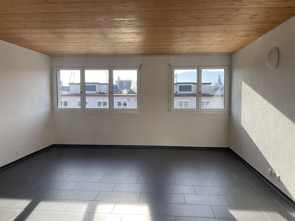 Charmante 1-Zimmer-Attikawohnung mit Dachterrasse