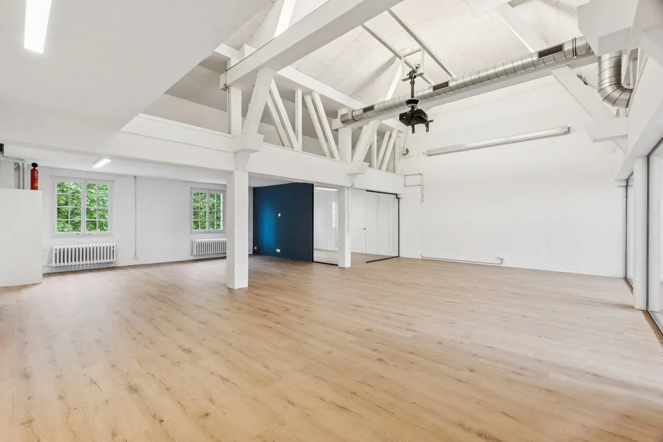 Repräsentativ. Inspirierend. Zentral. - Ihre Gewerbefläche mit Loft...