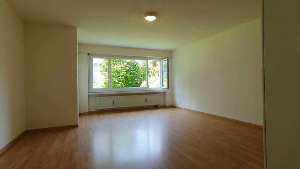 Gemütliche Wohnung sucht Single!
