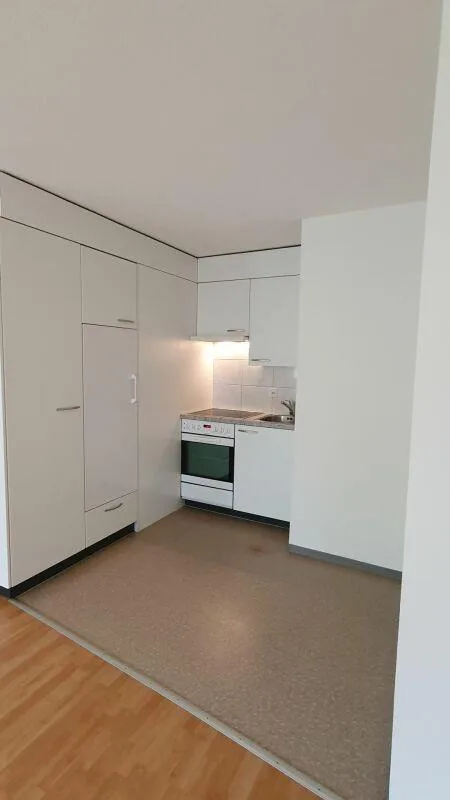 Gemütliche Wohnung sucht Single!