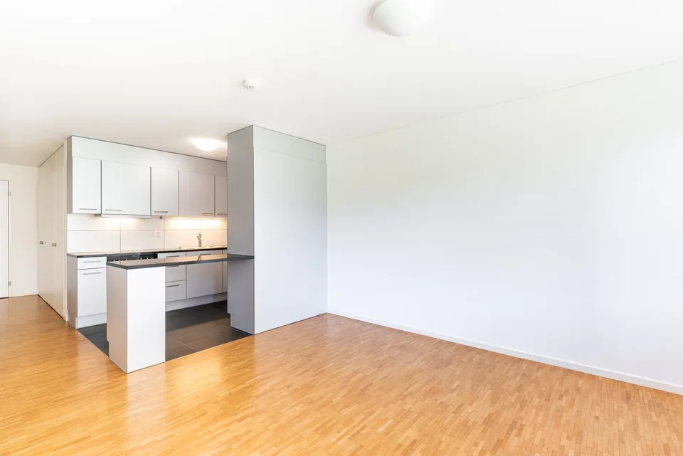 Logement de rêve pour les personnes seules