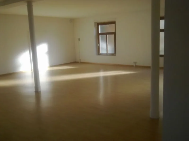 Grosszügige Loftwohnung im EG