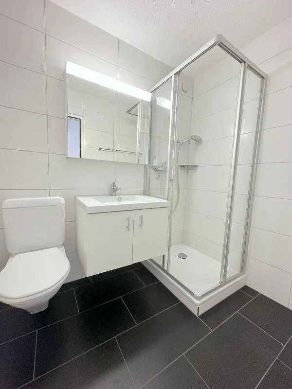 Moderne, helle 6.5-Zimmerwohnung in SG-Bruggen