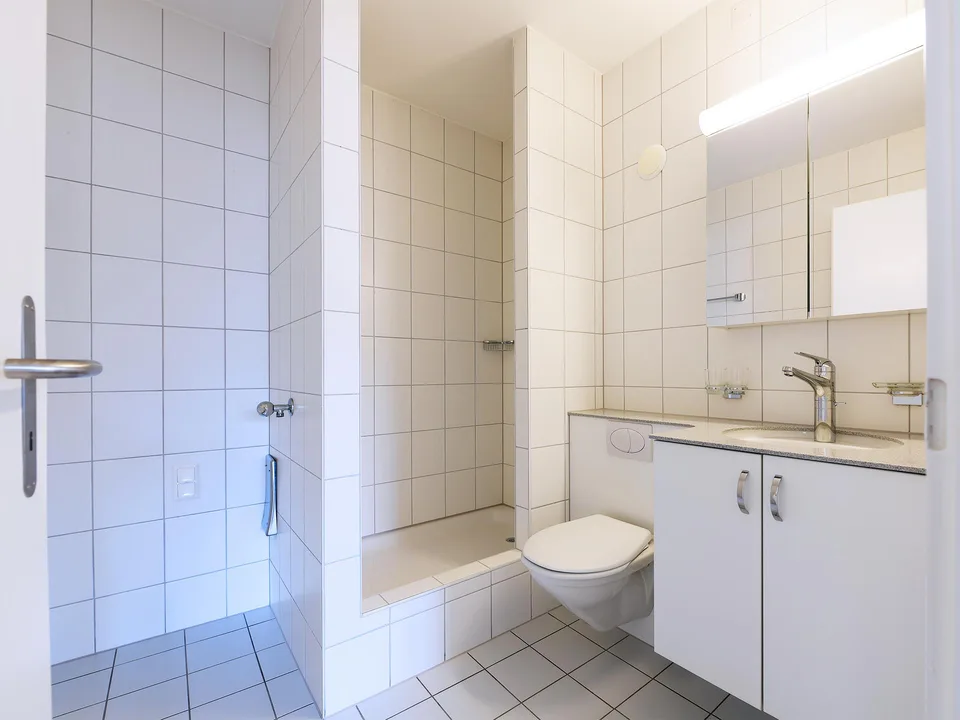 Schönes Wohnen in Binningen - 3ZW im 8. OG
