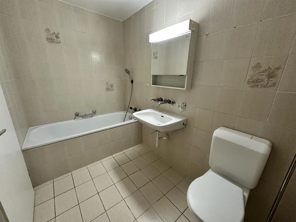 5.5 Zimmerwohnung in Safenwil