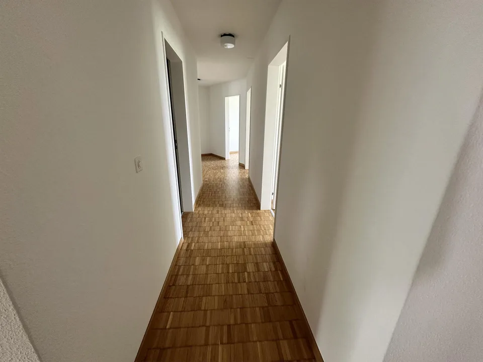 5.5 Zimmerwohnung in Safenwil