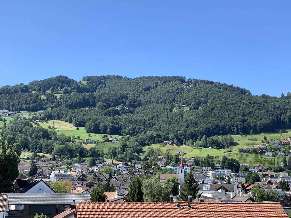 Wunderschöne 3.5 Zimmer Dachwohnung in Rebstein