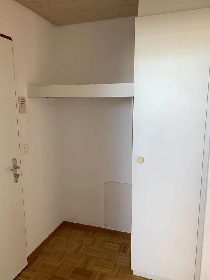 Wunderschöne 3.5 Zimmer Dachwohnung in Rebstein