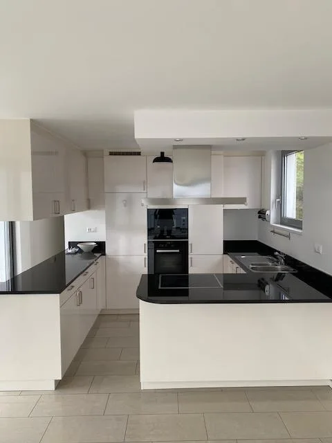 Ampio 4.5 locali con terrazzo e vista lago