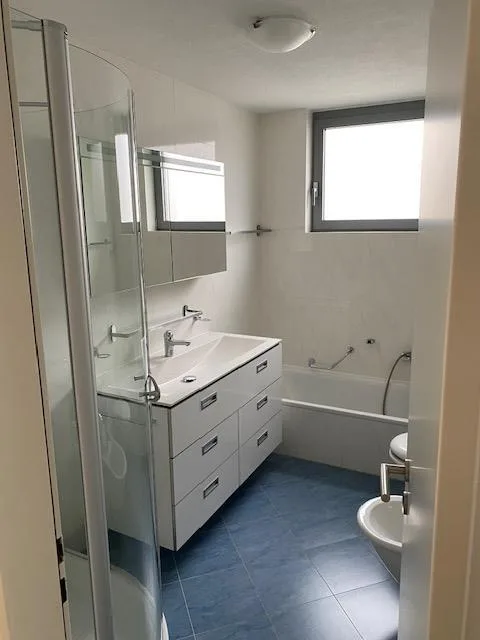 Ampio 4.5 locali con terrazzo e vista lago
