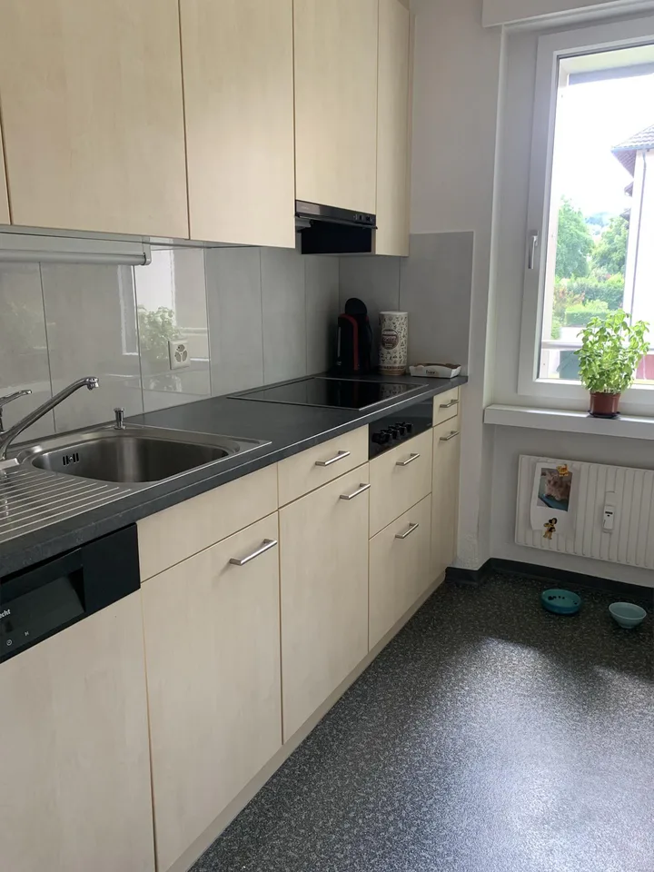 4 1/2 Zimmer-Wohnung