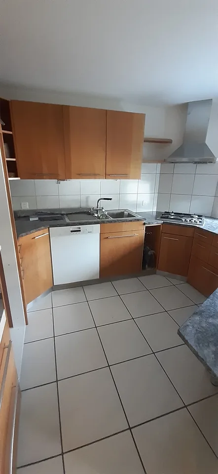 4,5 - 5- Z'Reihen EFH mit Garten